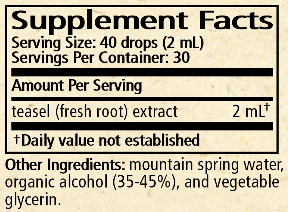 Wise Woman Herbals Teasel (Dipsacus spp.) Ingredients