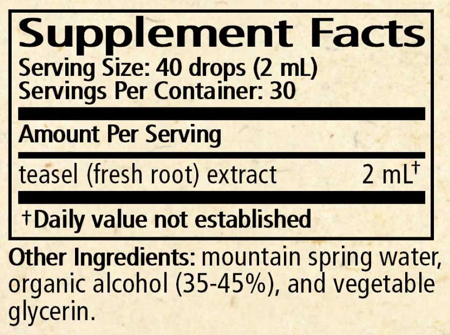 Wise Woman Herbals Teasel (Dipsacus spp.) Ingredients