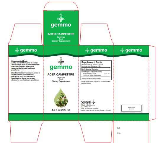 UNDA Acer Campestre Label