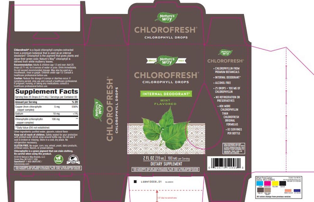 Nature's Way Chlorofresh Liquid Mint