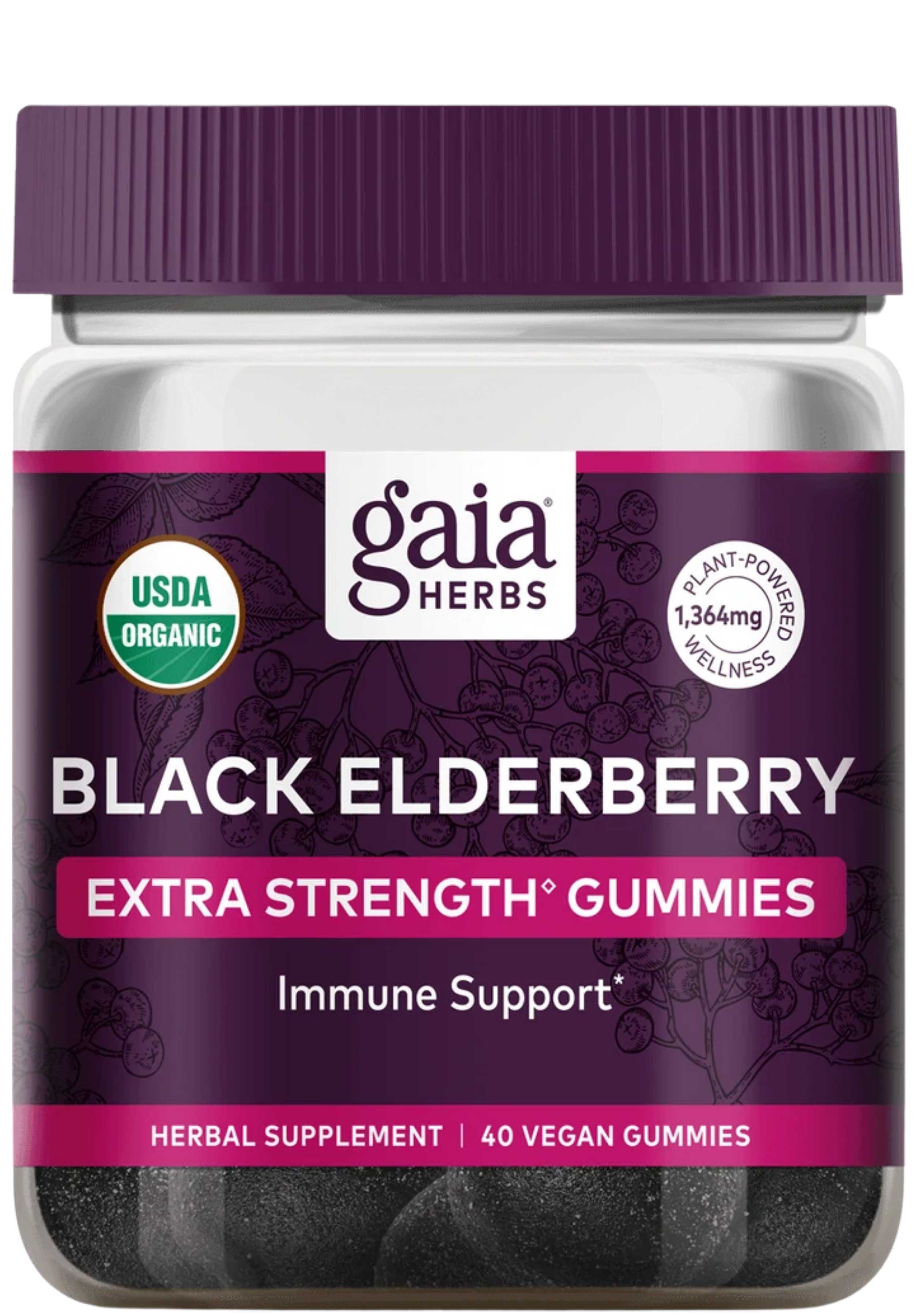 Gaia Herbs Black Elderberry Extra Strength