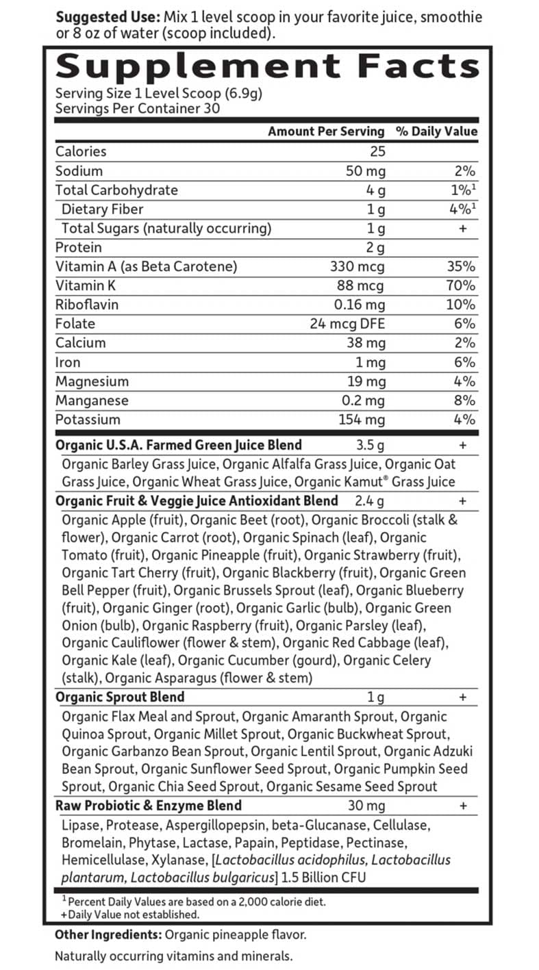 Garden of Life Raw Organic Perfect Food Green Superfood Original Powder Ingredients