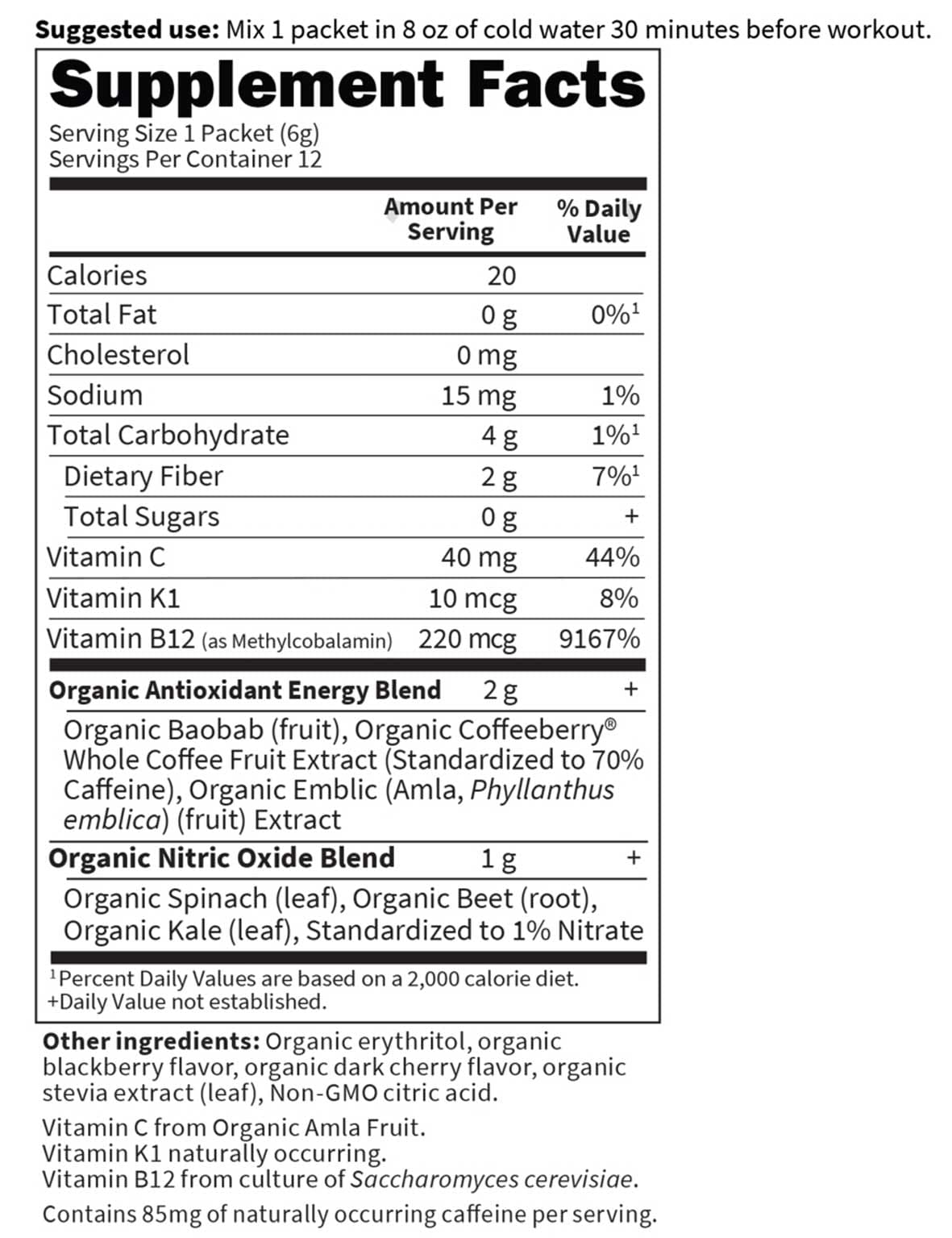 Garden of Life SPORT Organic Plant-Based Energy + Focus Ingredients