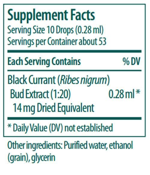 Genestra Brands Black Currant Bud