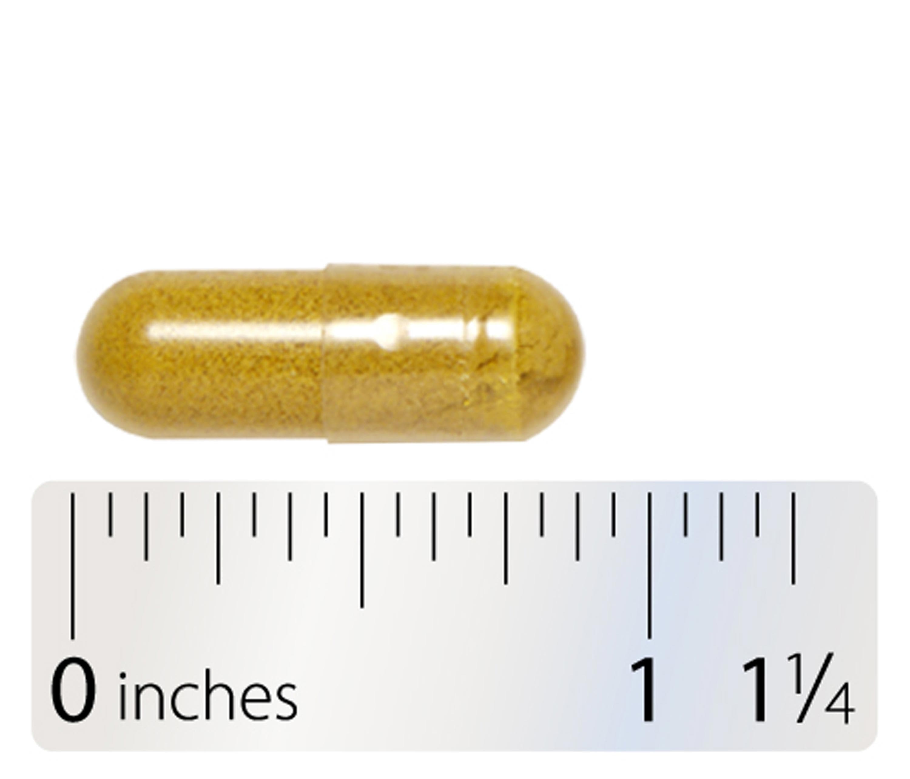 Integrative Therapeutics Berberine Complex Capsule