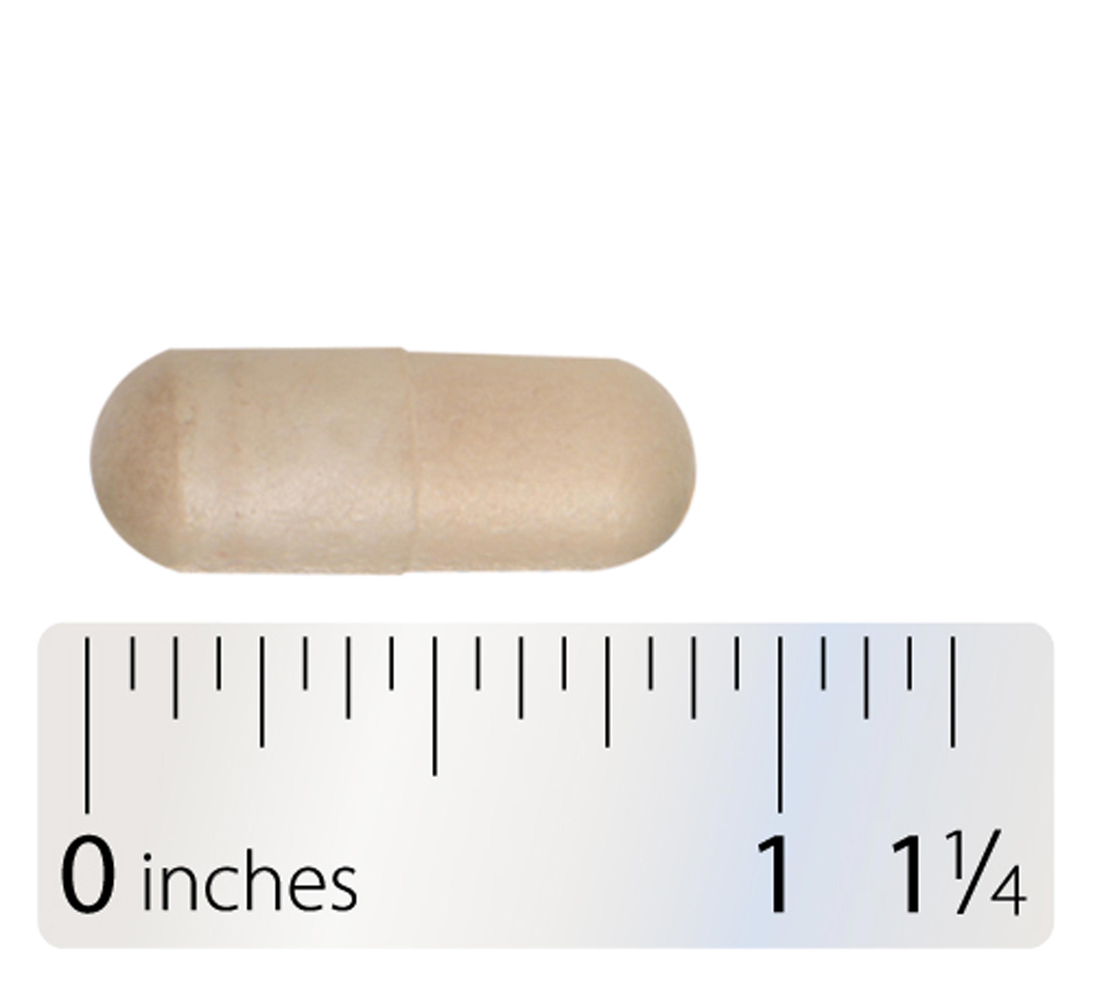 Integrative Therapeutics Enterogenic Intensive 100 Capsule