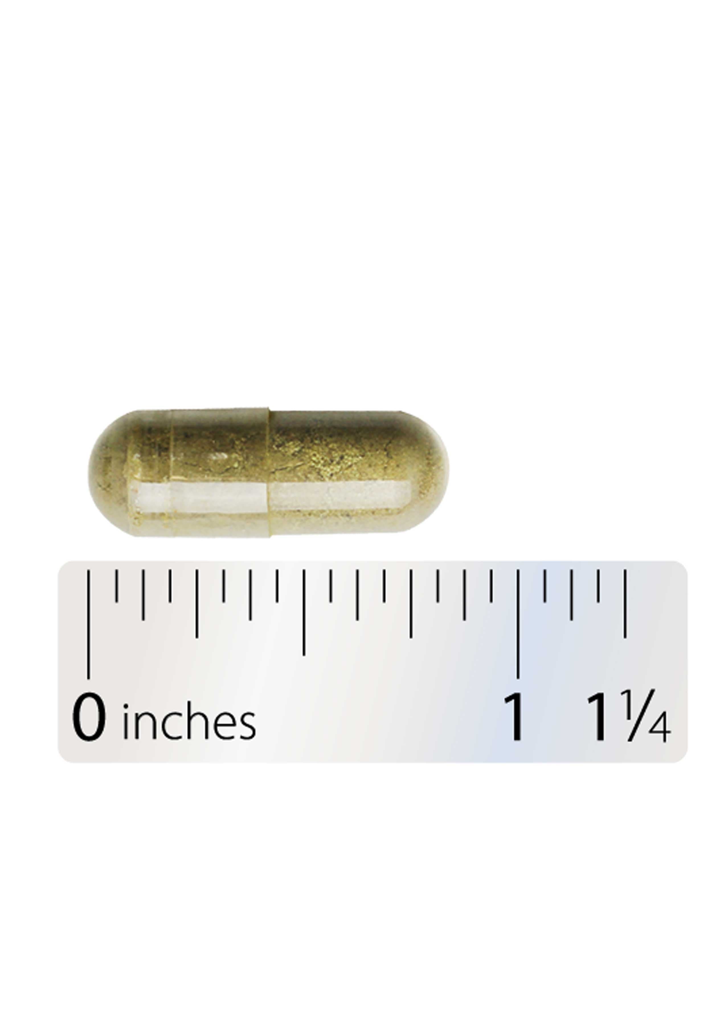 Integrative Therapeutics Heartburn Advantage Capsule