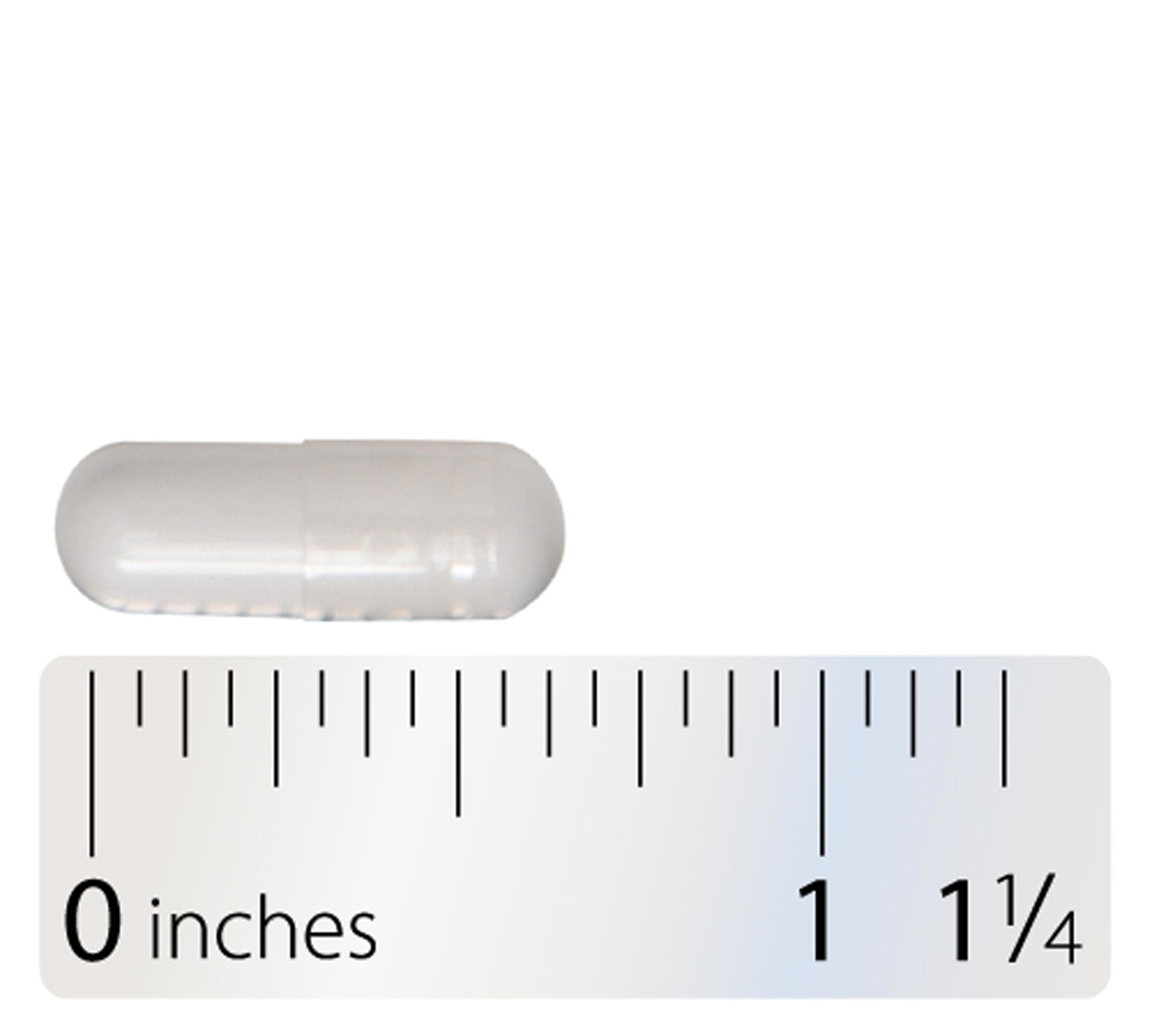 Integrative Therapeutics L-Theanine Capsule