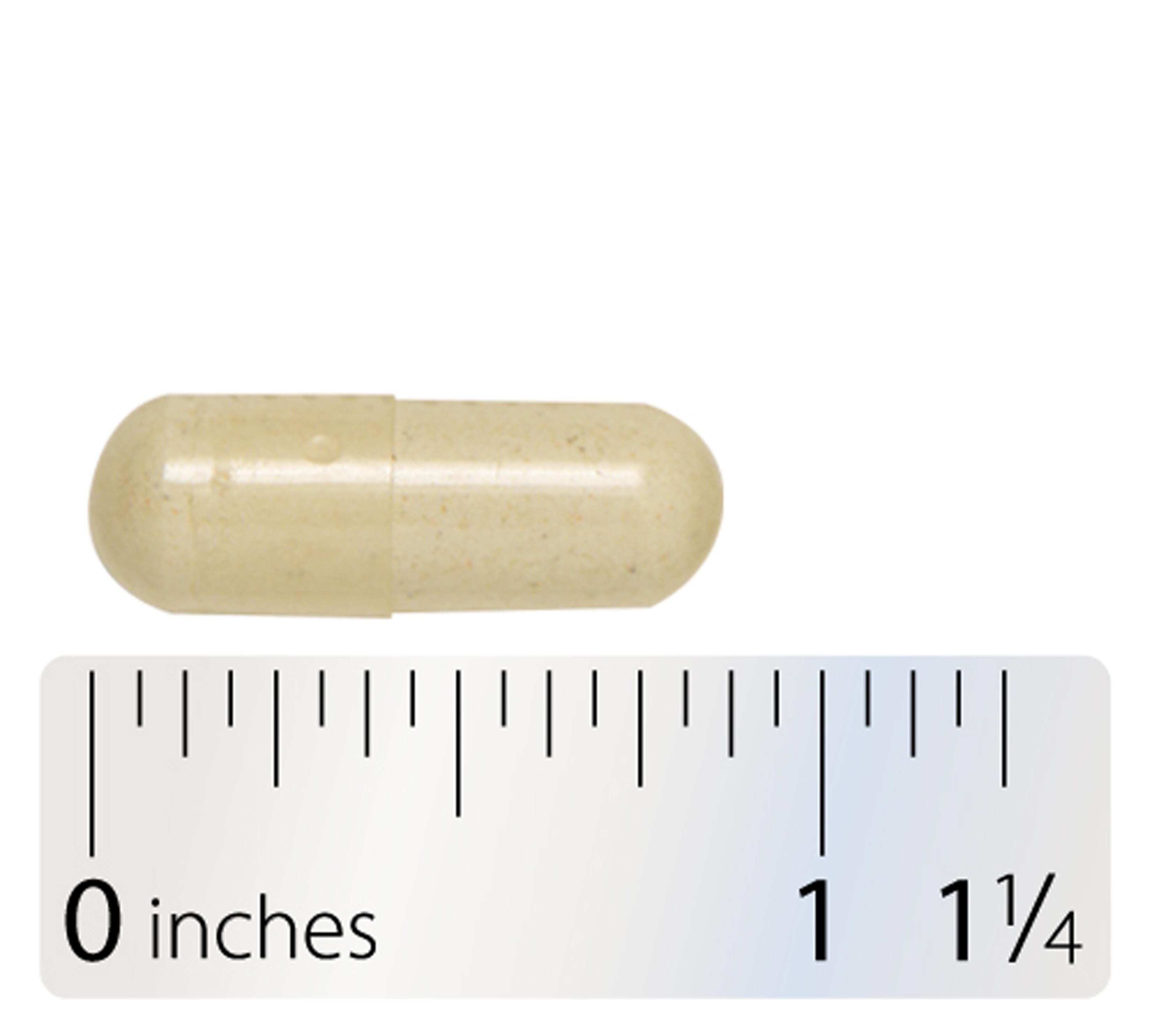 Integrative Therapeutics Nutrivitamin Enzyme Complex without Iron Capsule