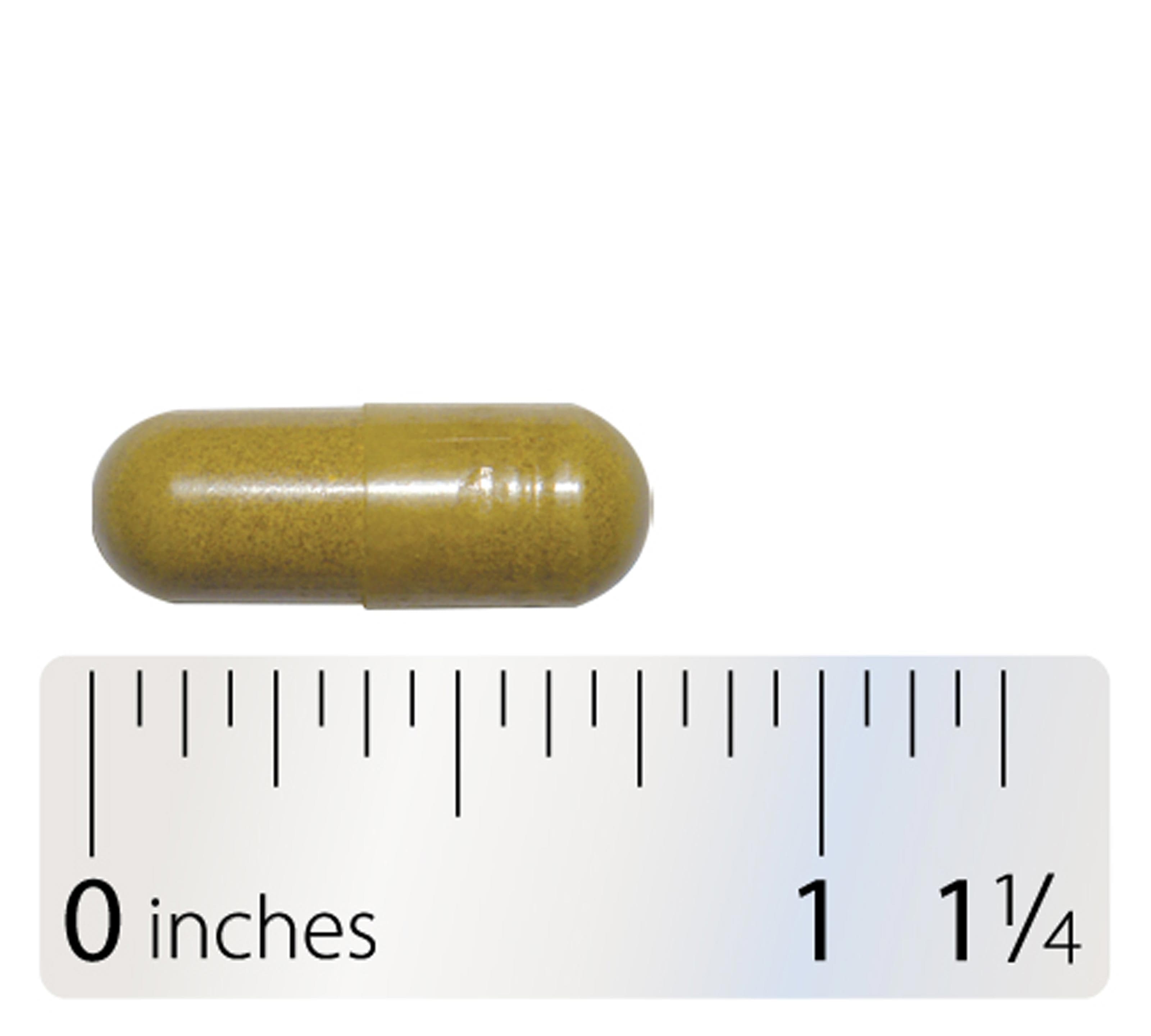 Integrative Therapeutics Para-Gard Capsule