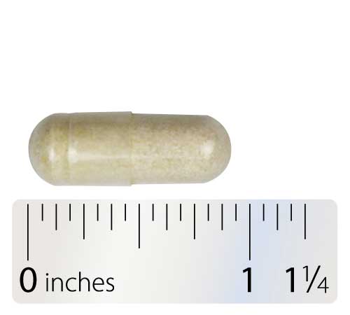 Integrative Therapeutics ProSom Capsule