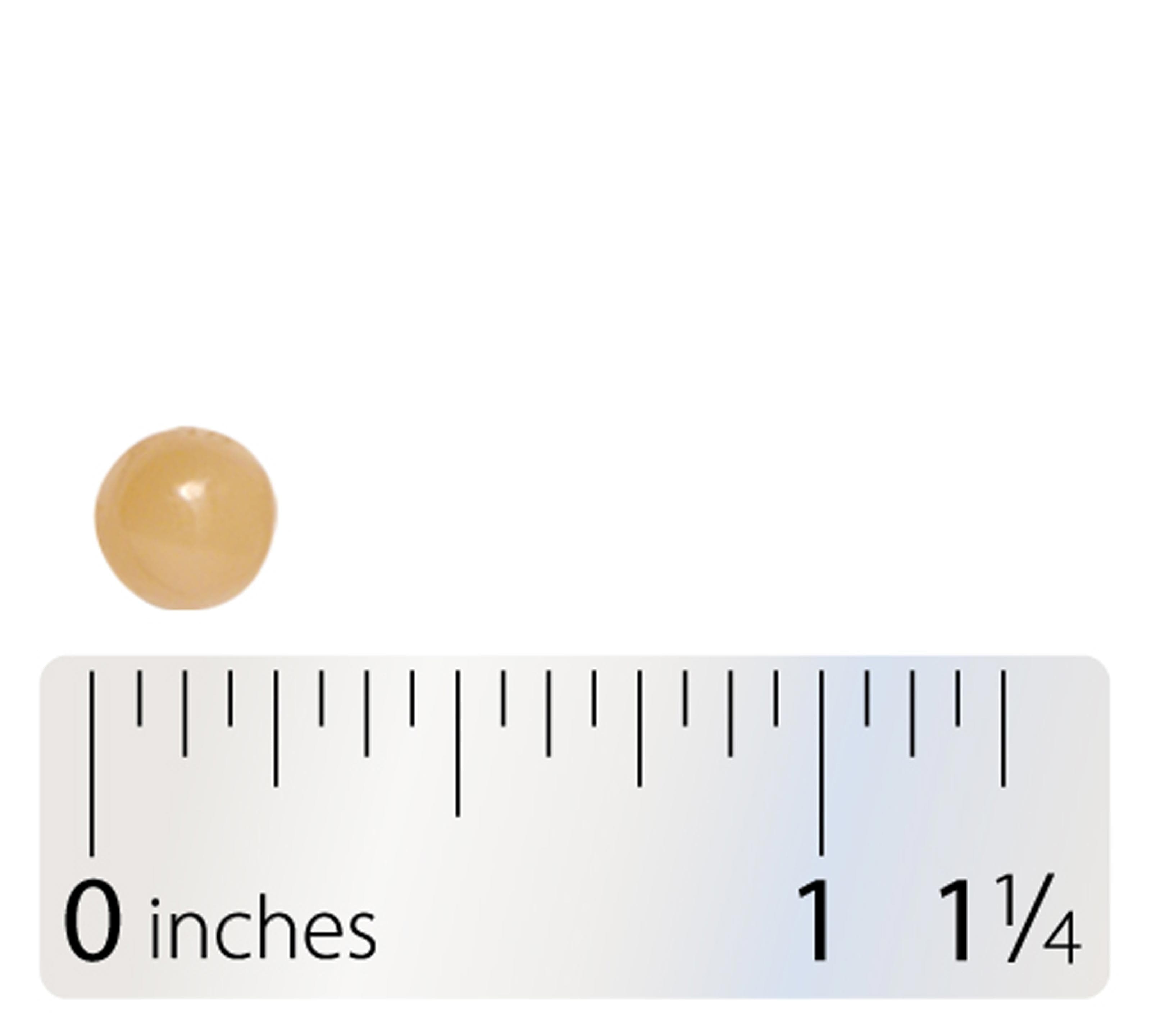 Integrative Therapeutics Pro-Flora Immune Capsule