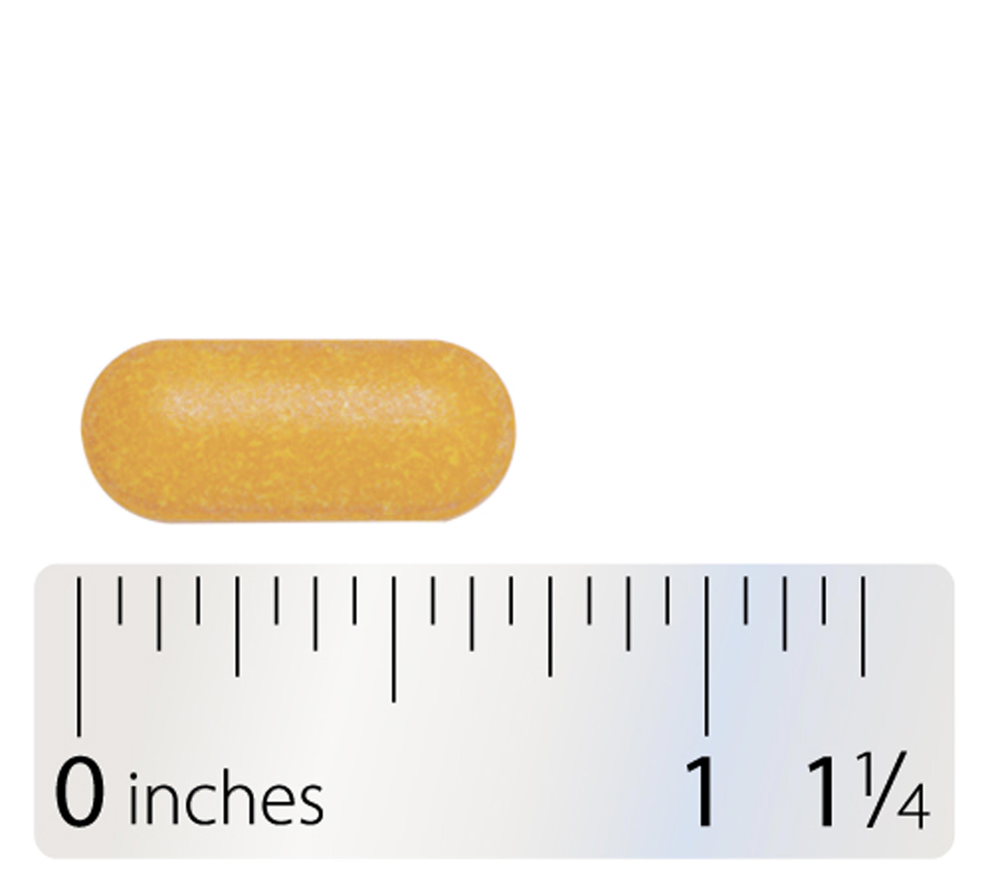 Integrative Therapeutics Riboflavin Tablet