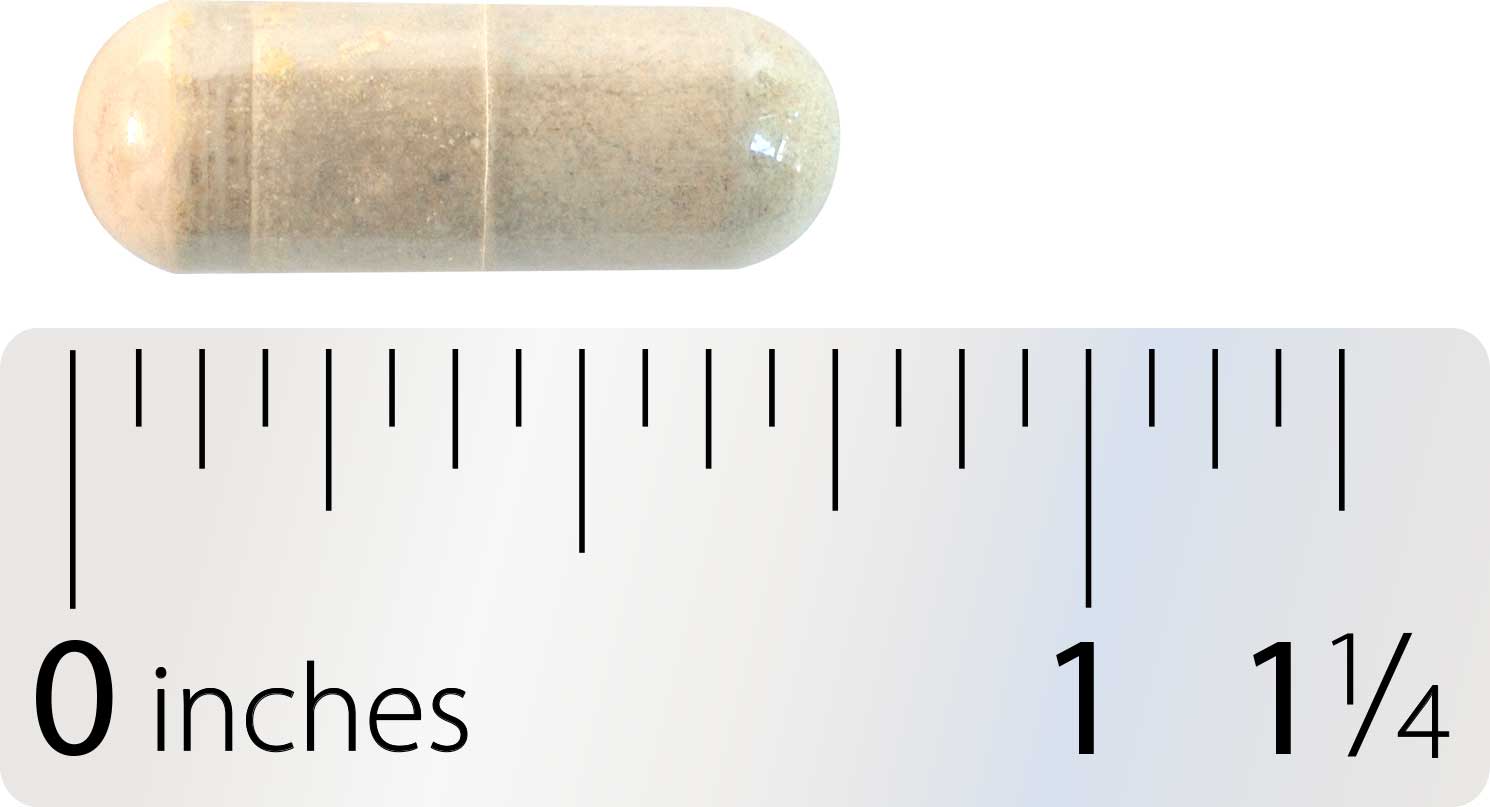 Integrative Therapeutics Super Milk Thistle X Capsule