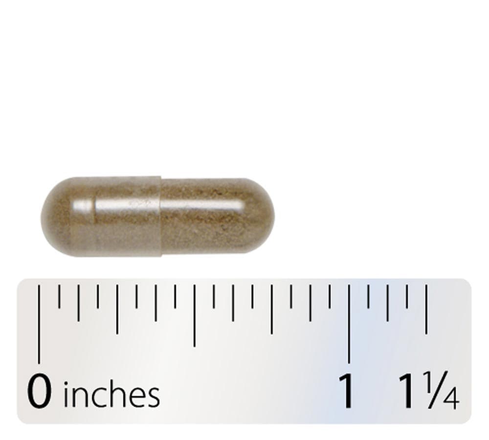 Integrative Therapeutics Vitex Extract Capsule