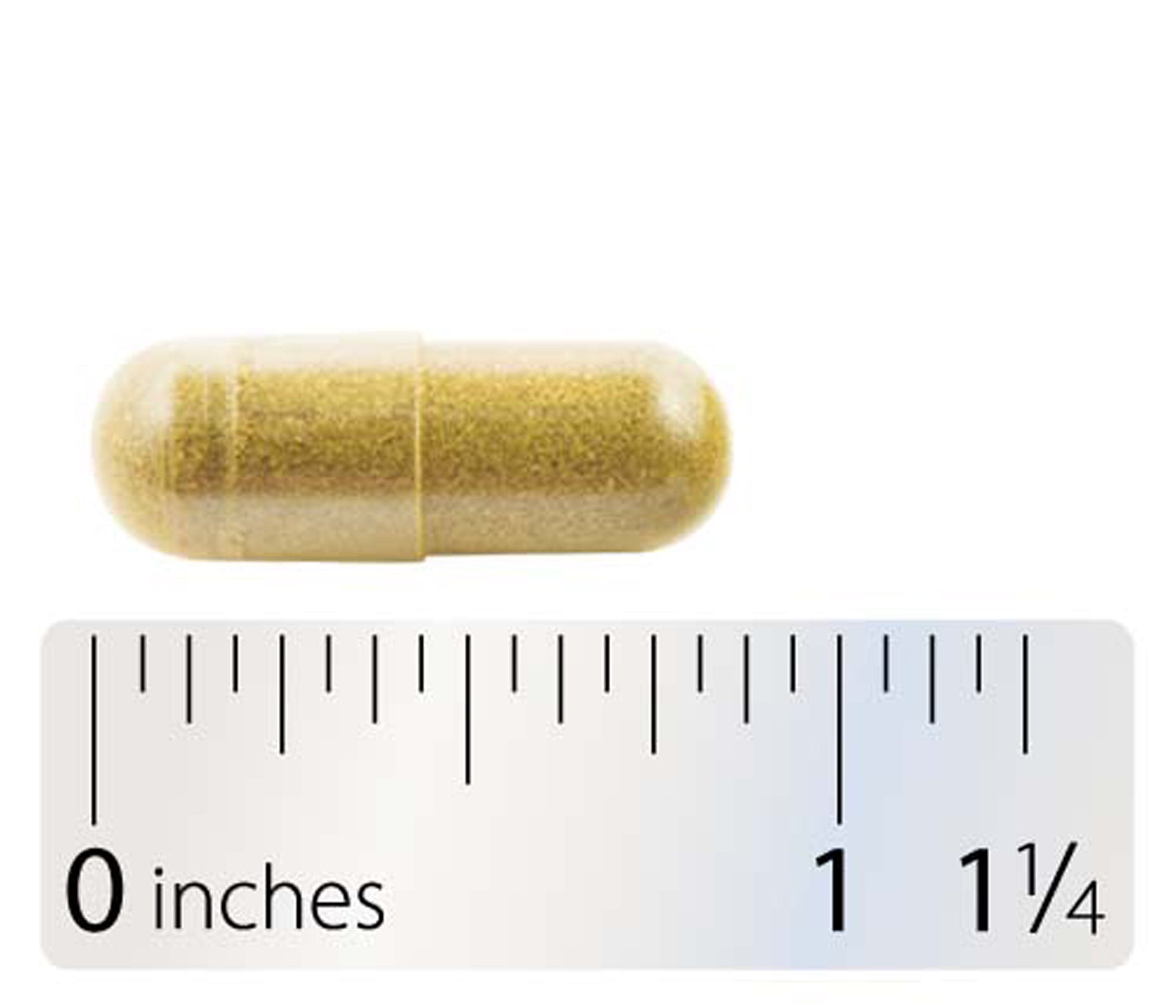 Integrative Therapeutics Berberine Capsule