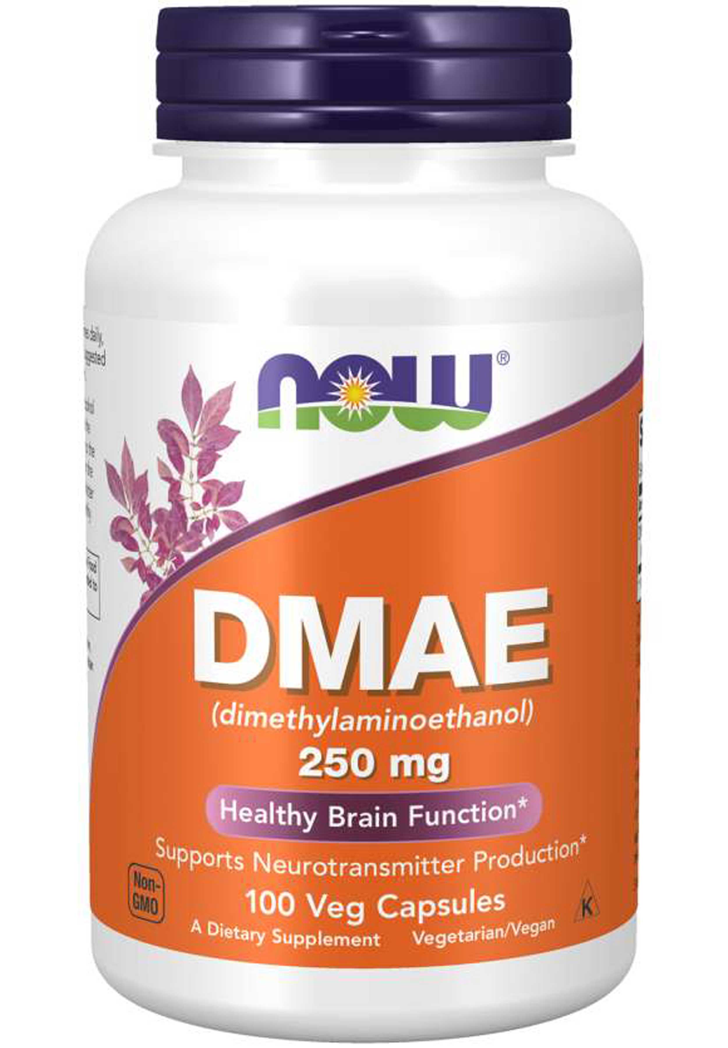NOW DMAE 250 mg