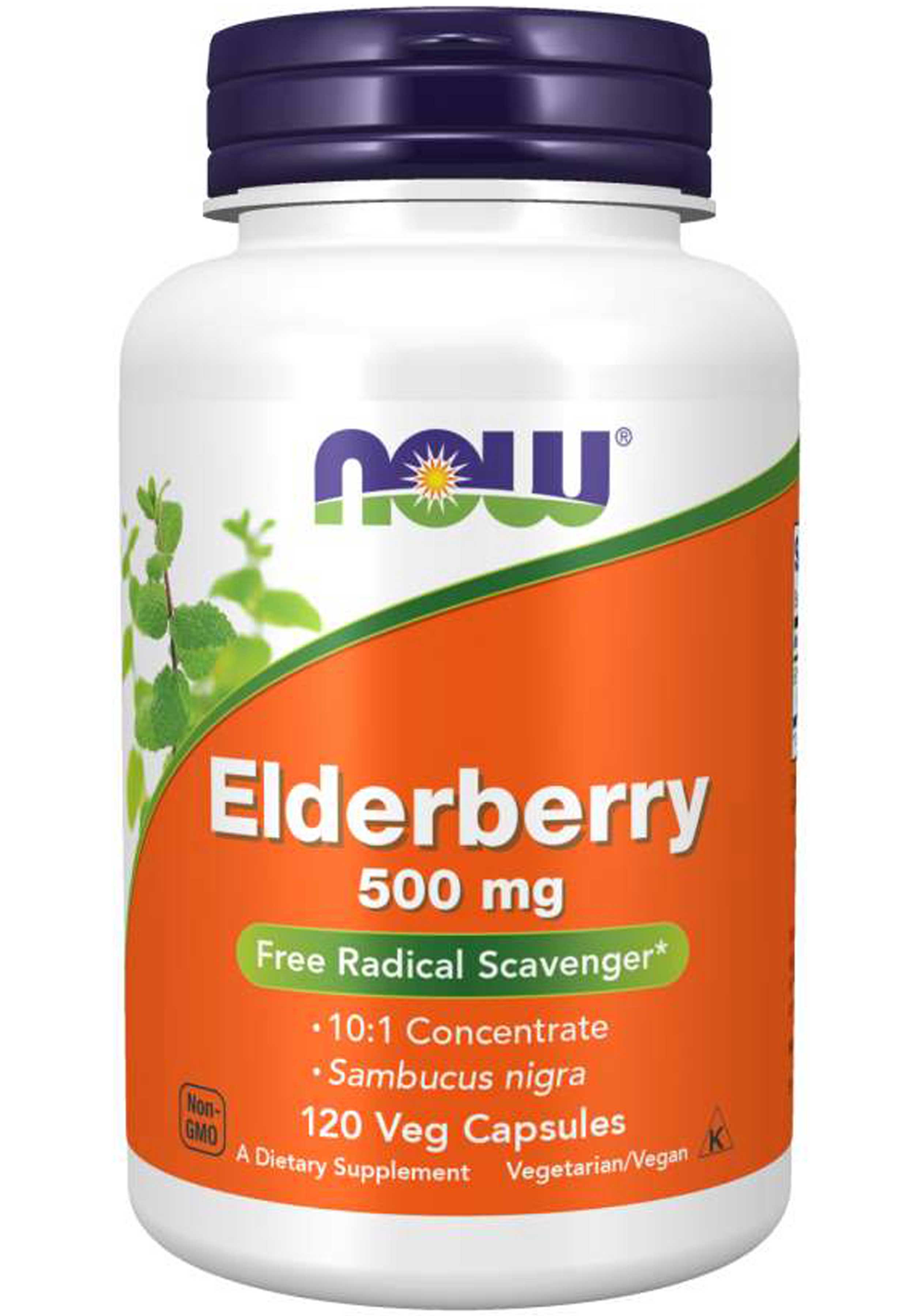NOW Elderberry Extract 500 mg
