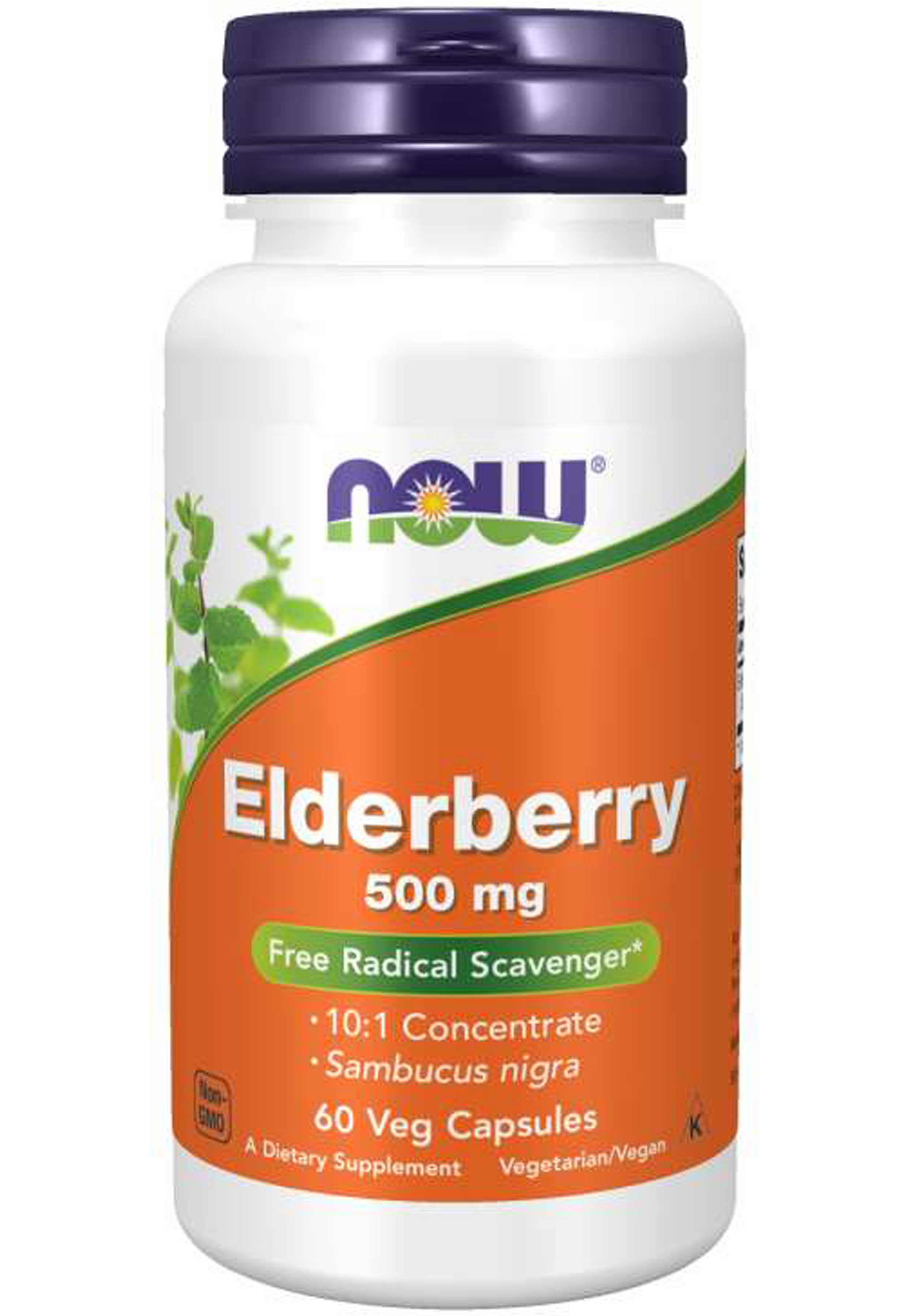 NOW Elderberry Extract 500 mg