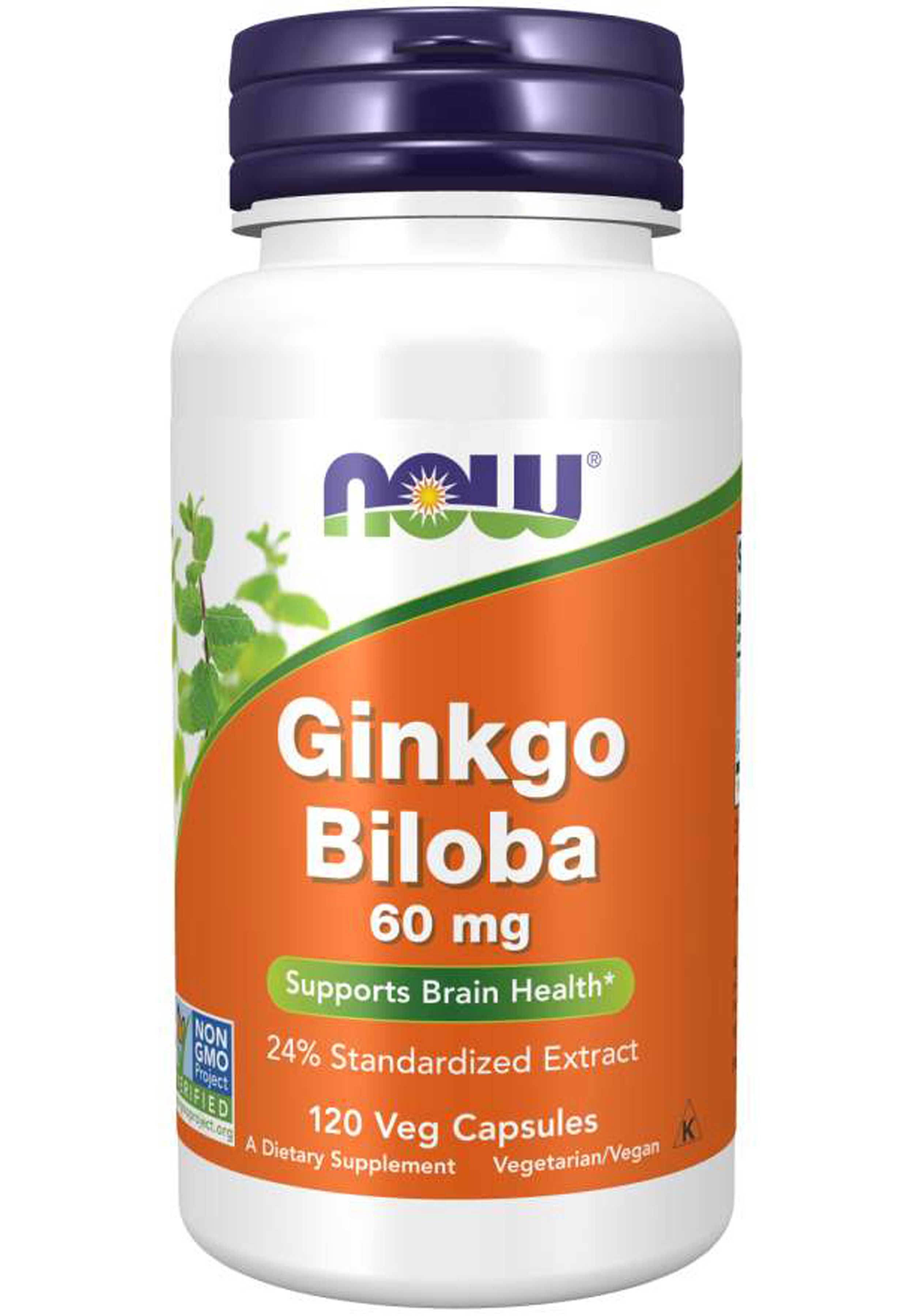 NOW Ginkgo Biloba 60 mg