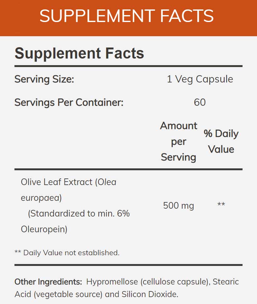 NOW Olive Leaf Extract 500 mg Ingredients
