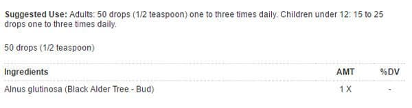 UNDA Alnus Glutinosa