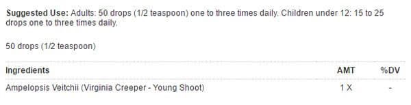 UNDA Ampelopsis Veitchii