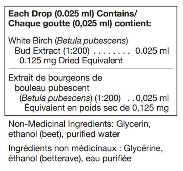 UNDA Betula Pubescens Bud
