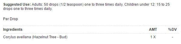 UNDA Corylus Avellana