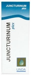 UNDA Juncturinum Plex