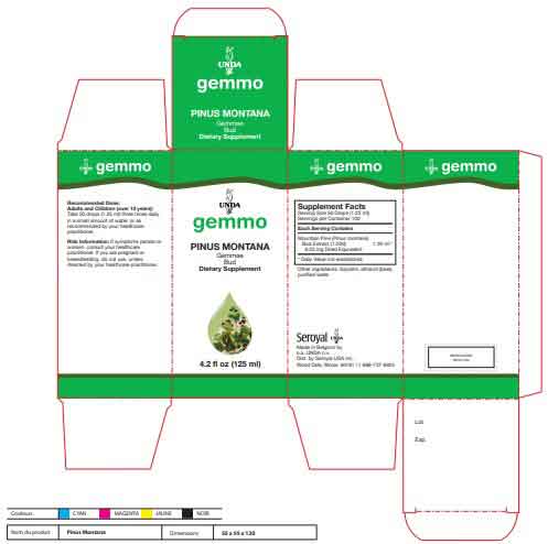 UNDA Pinus Montana Label