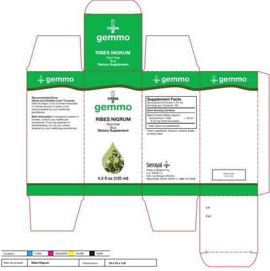 UNDA Ribes Nigrum Label