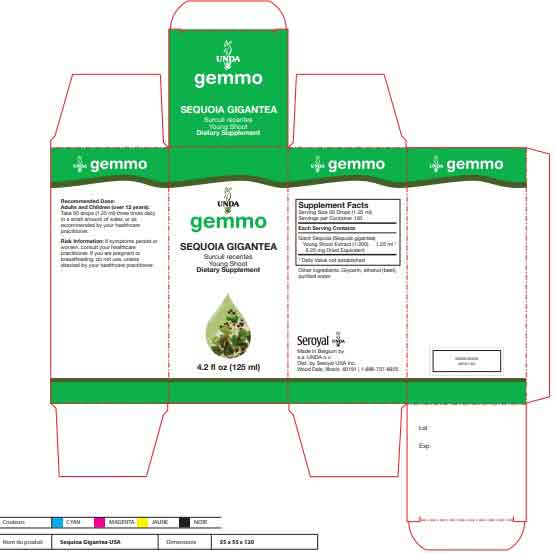 UNDA Sequoia Gigantea Label