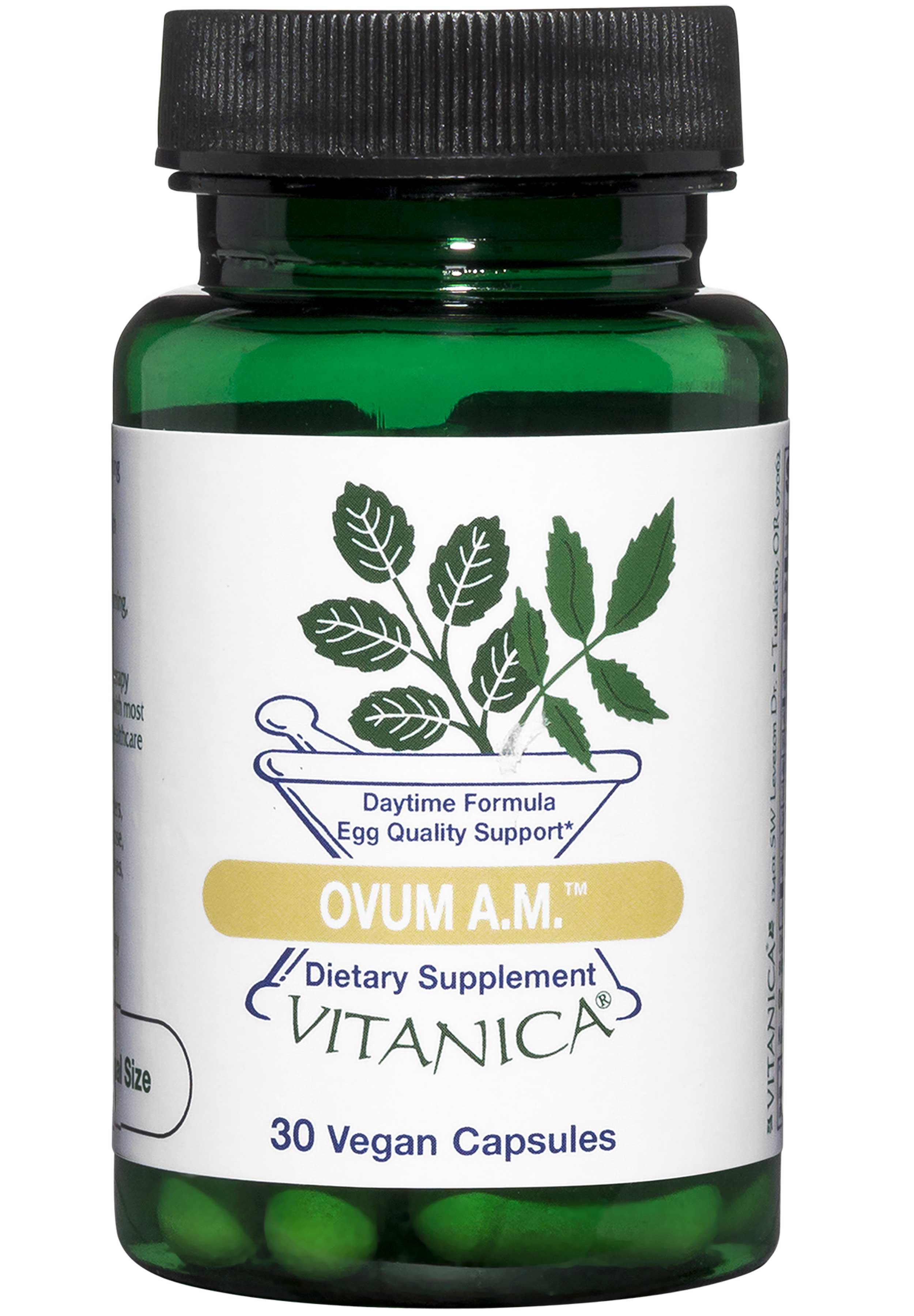 Vitanica Ovum AM