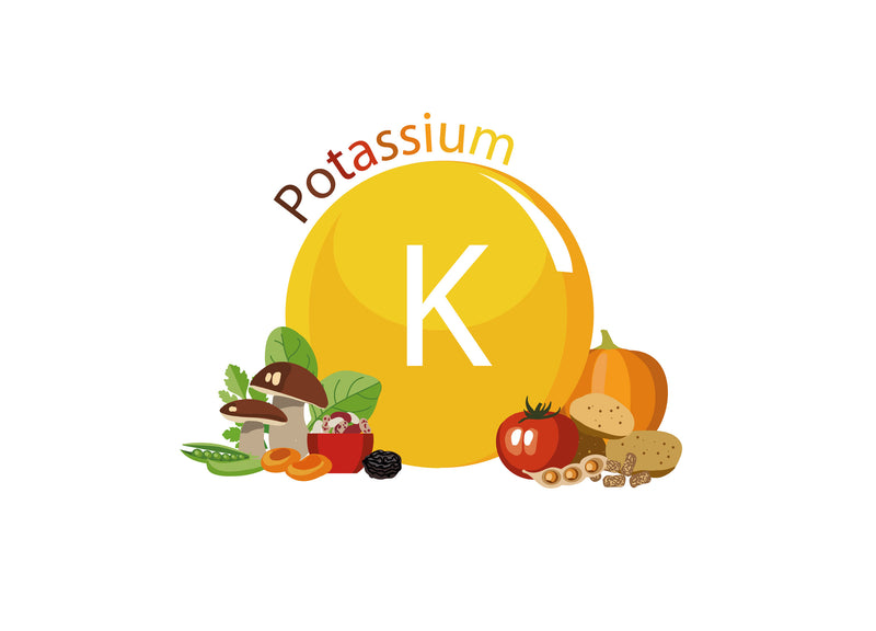 Prioritize Potassium in your Diet for Health & Vitality 