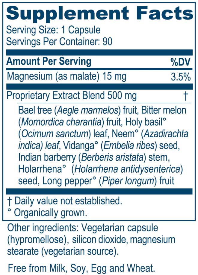 Ayush Herbs AP Traveler Ingredients