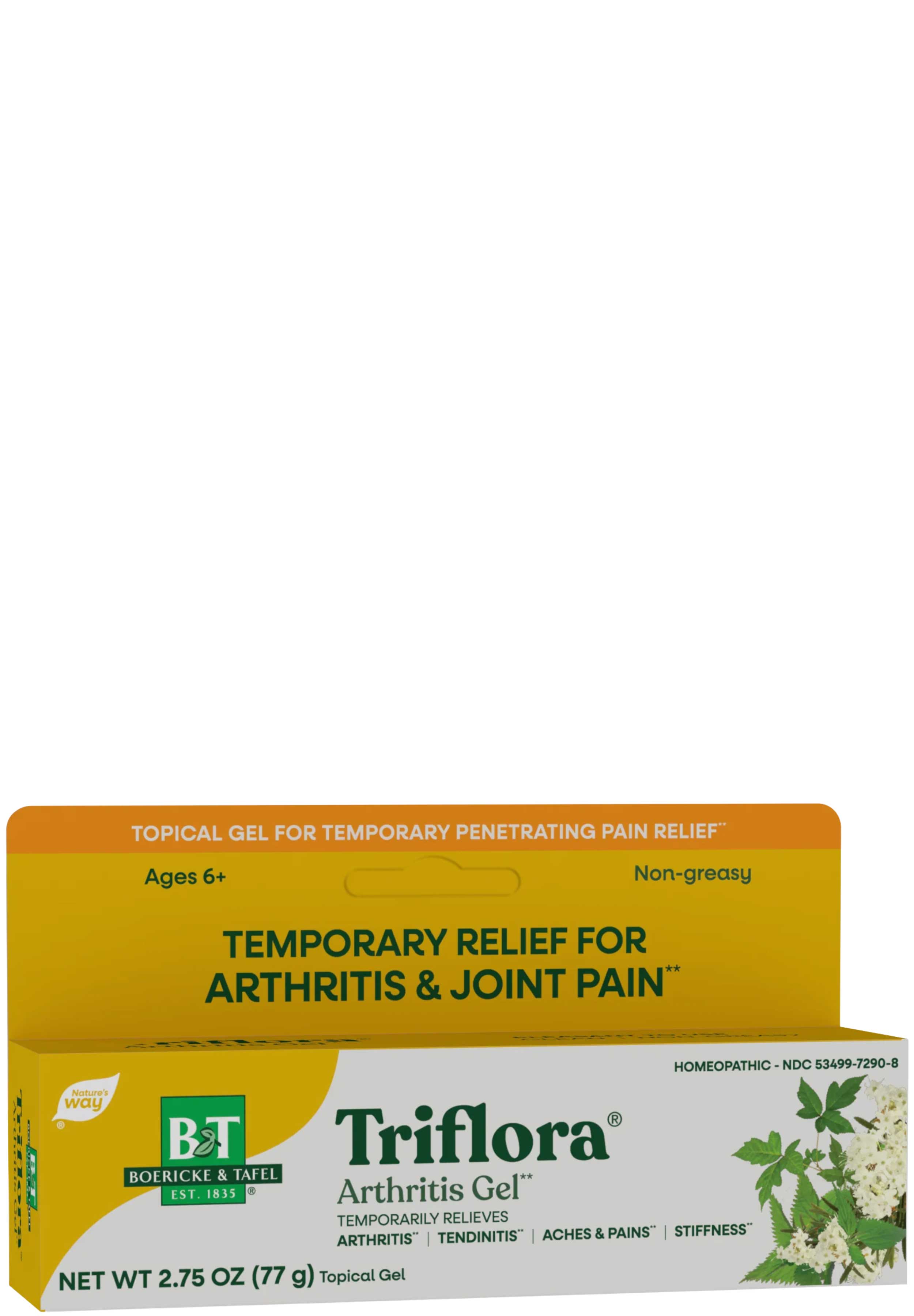 Boericke & Tafel Triflora Arthritis Gel