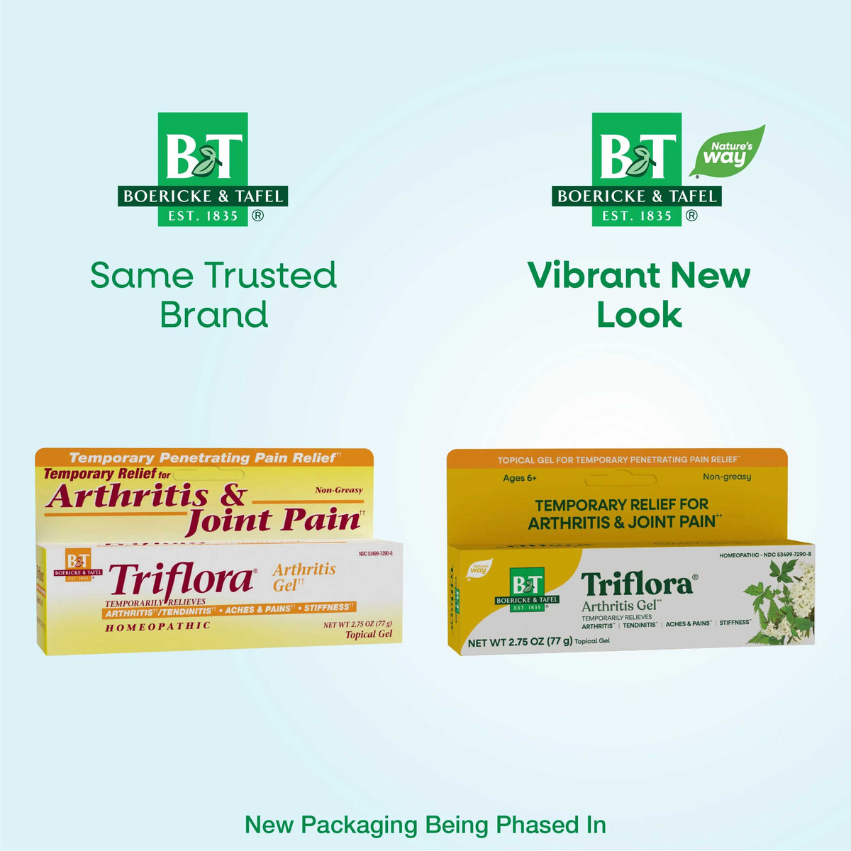 Boericke & Tafel Triflora Arthritis Gel New Look
