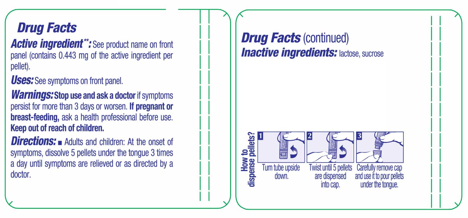 Boiron Homeopathics Colocynthis Ingredients