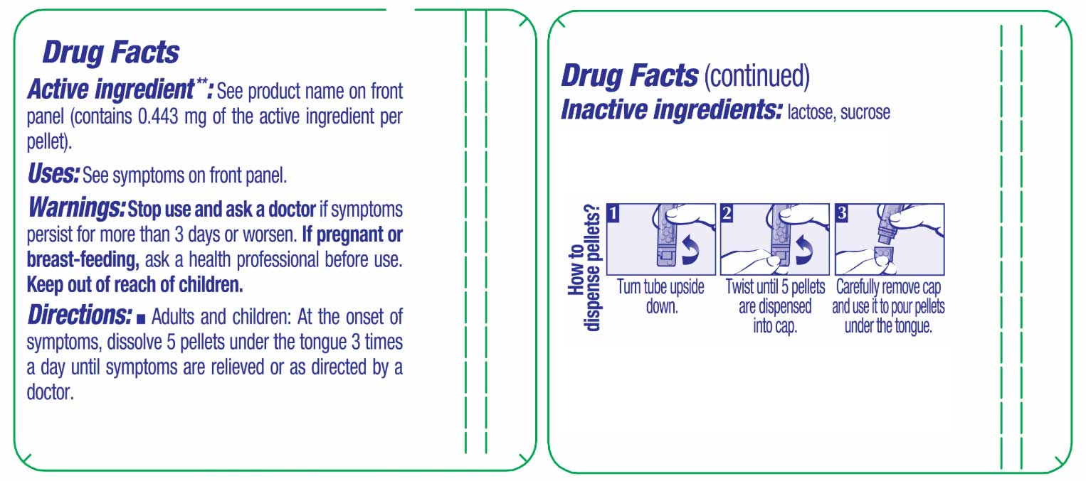 Boiron Homeopathics Aesculus Hippocastanum Ingredients