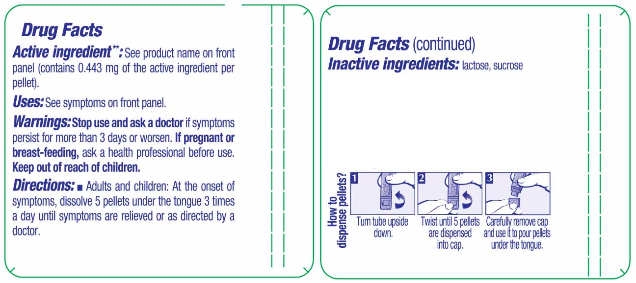 Boiron Homeopathics Allium cepa Ingredients