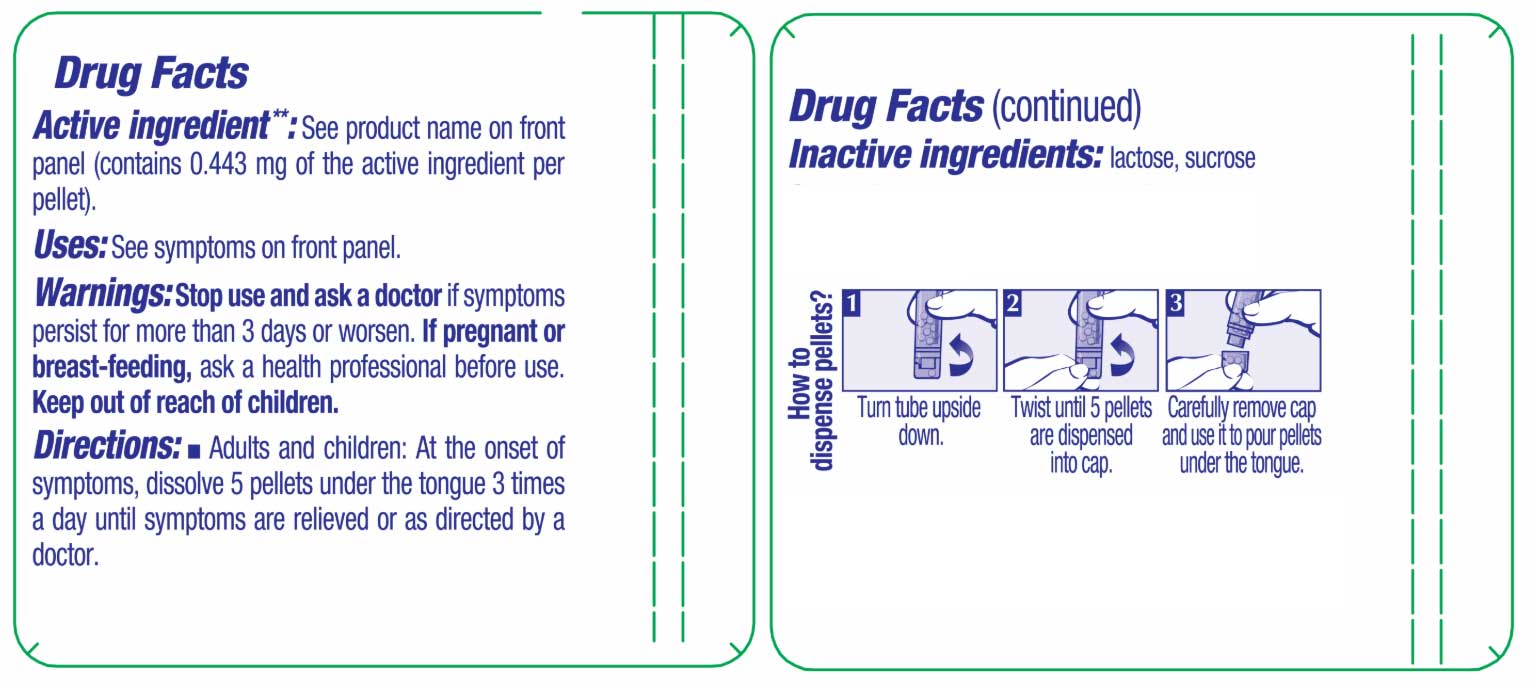 Boiron Homeopathics Alumina Ingredients