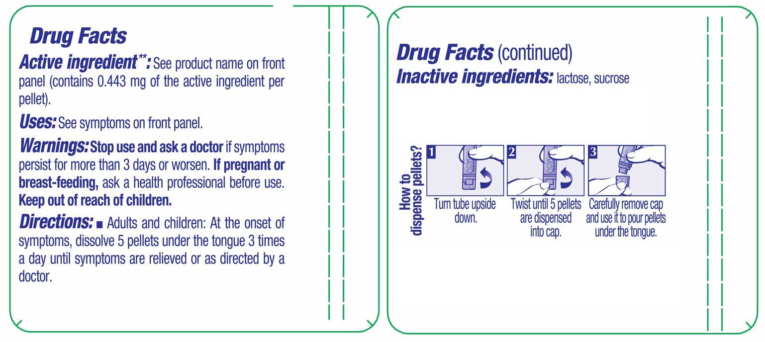 Boiron Homeopathics Arsenicum Album Ingredients
