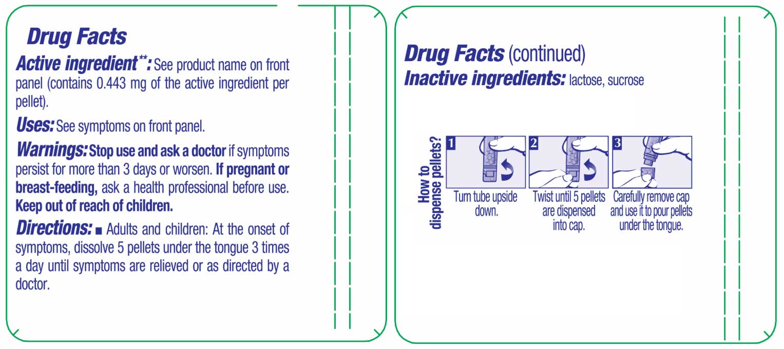 Boiron Homeopathics Bellis Perennis Ingredients