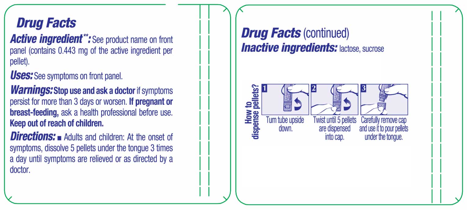 Boiron Homeopathics Histaminum Hydrochloricum Ingredients