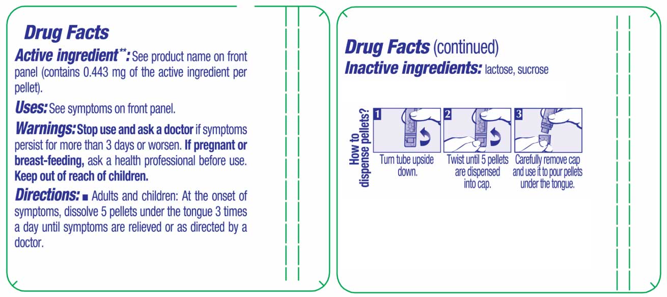 Boiron Homeopathics Sepia Ingredients