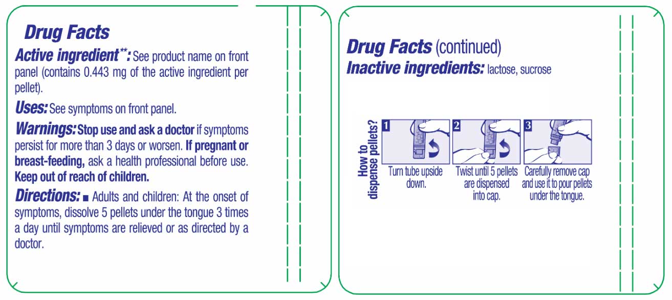 Boiron Homeopathics Zincum Metallicum Ingredients