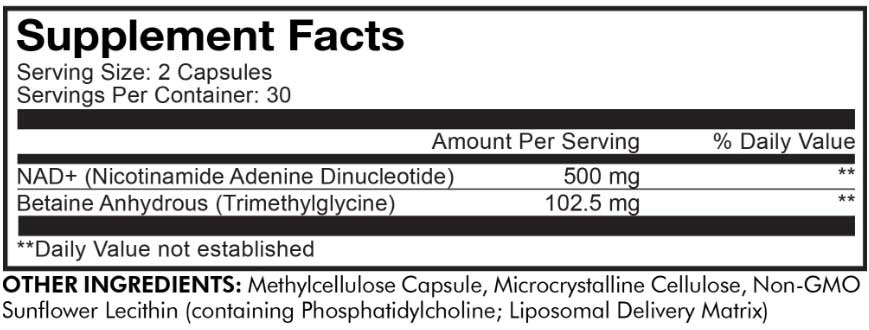 Codeage Liposomal NAD+ Ingredients