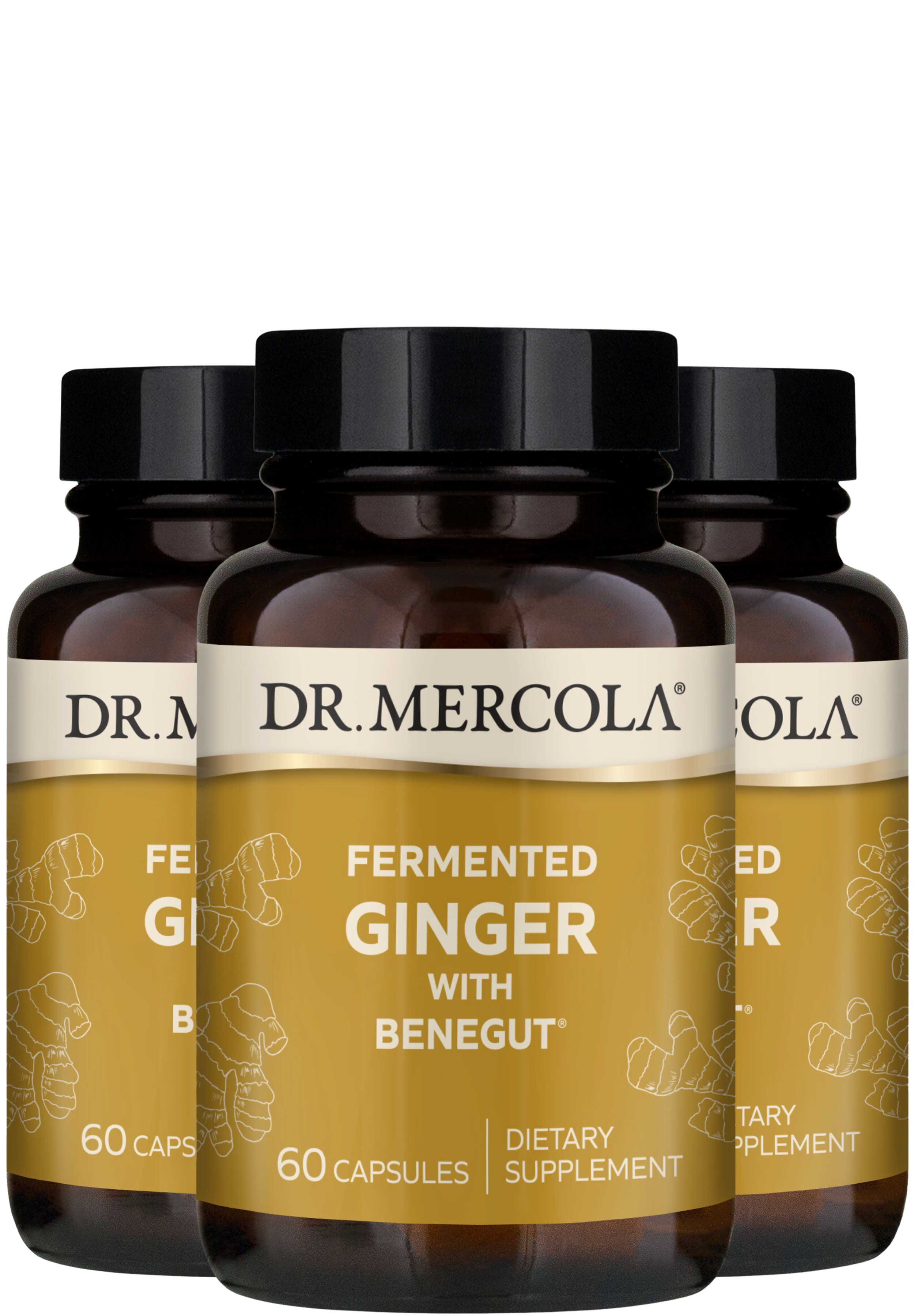 Dr. Mercola Fermented Ginger with Benegut