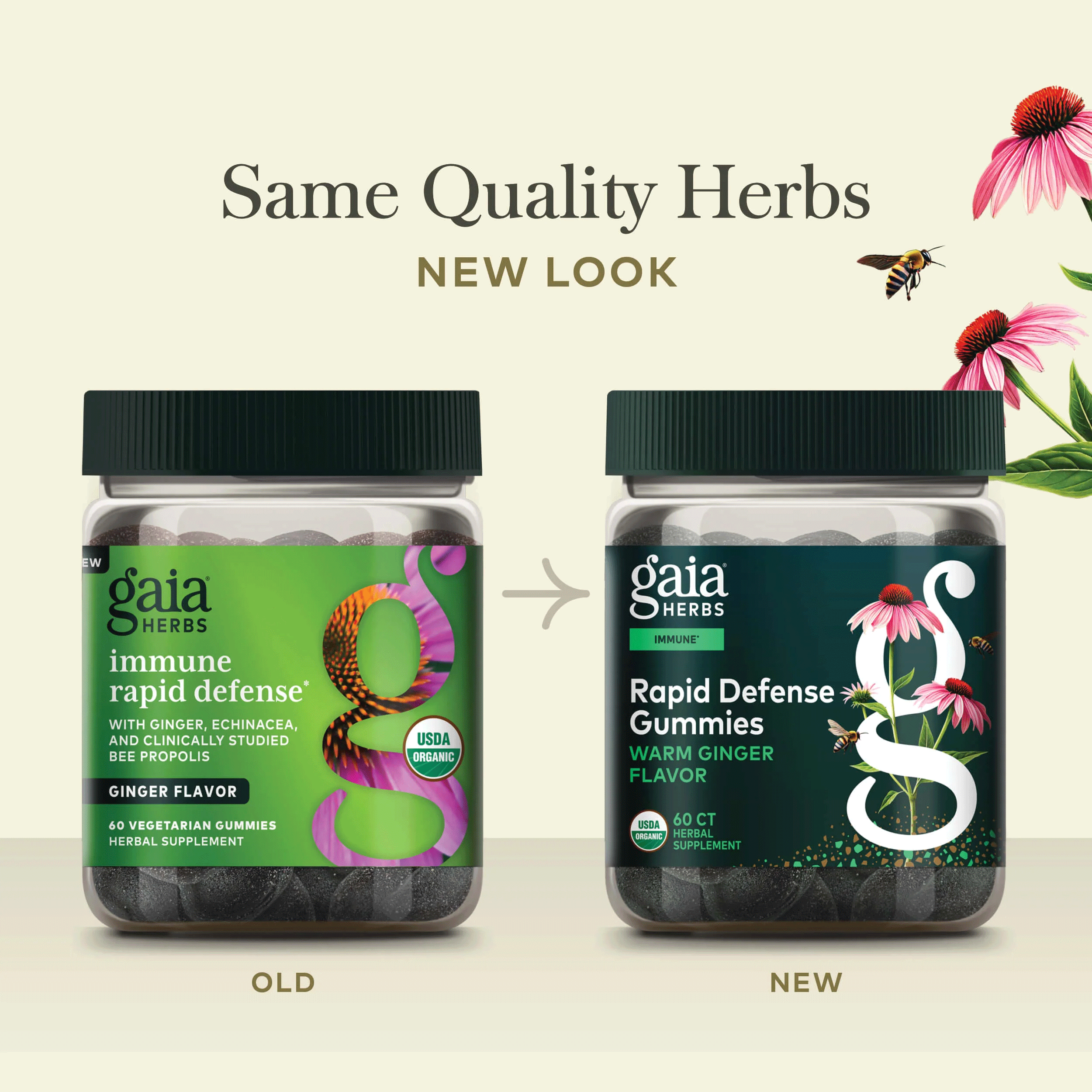 Gaia Herbs Immune Rapid Defense Gummies - Warm Ginger New Look